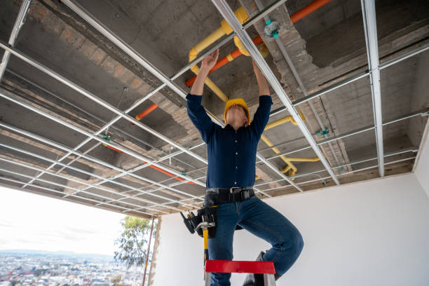Best Leak Detection Services  in Washoe Valley, NV