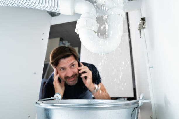Best Plumbing Repair Near Me  in Washoe Valley, NV