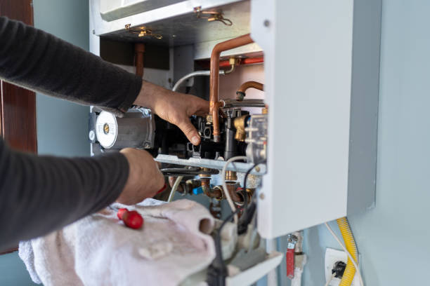 Best Plumbing Inspection Services  in Washoe Valley, NV